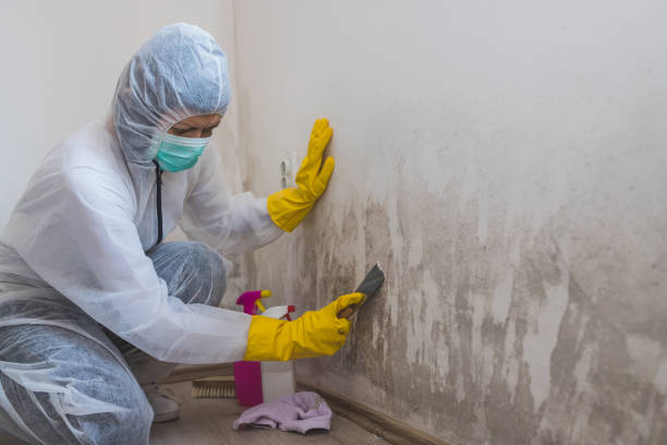 Best Crawl Space Mold Removal  in Pine Bluffs, WY