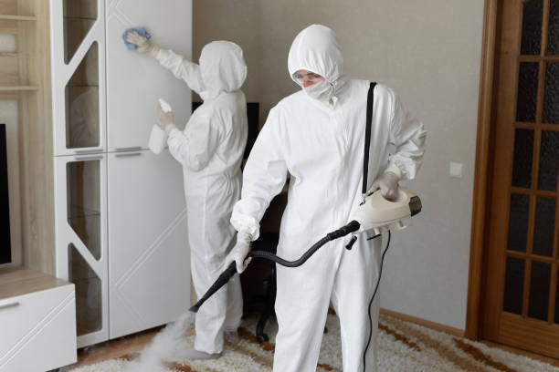 Best Certified Mold Removal  in Pine Bluffs, WY